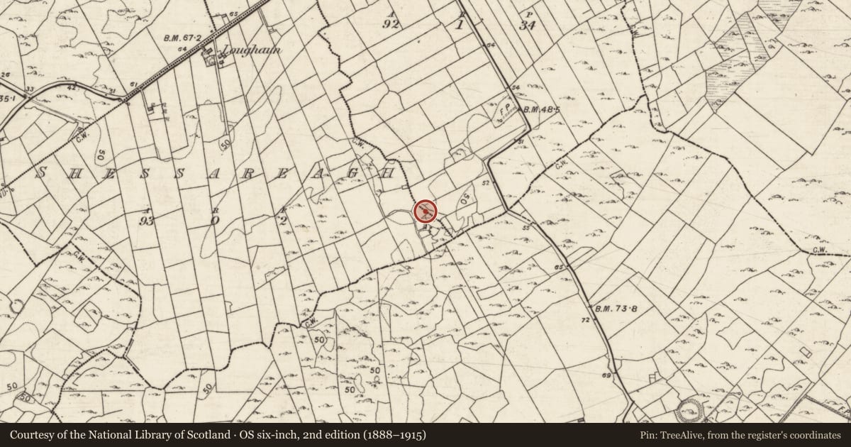 Ordnance Survey six-inch map, 2nd edition (1888–1915) covering the location of Enclosure, Parkroe, Shessareagh, County Galway, with a pin at the register's coordinates