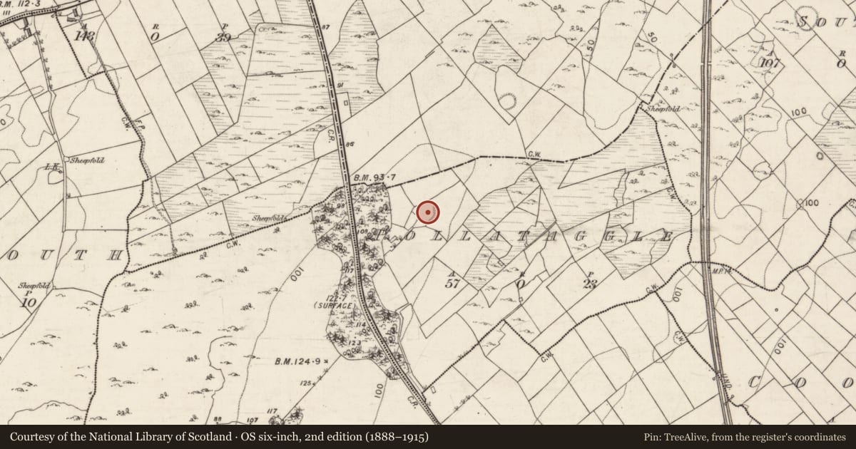 Ordnance Survey six-inch map, 2nd edition (1888–1915) covering the location of Ringfort - rath, Pollataggle, County Galway, with a pin at the register's coordinates