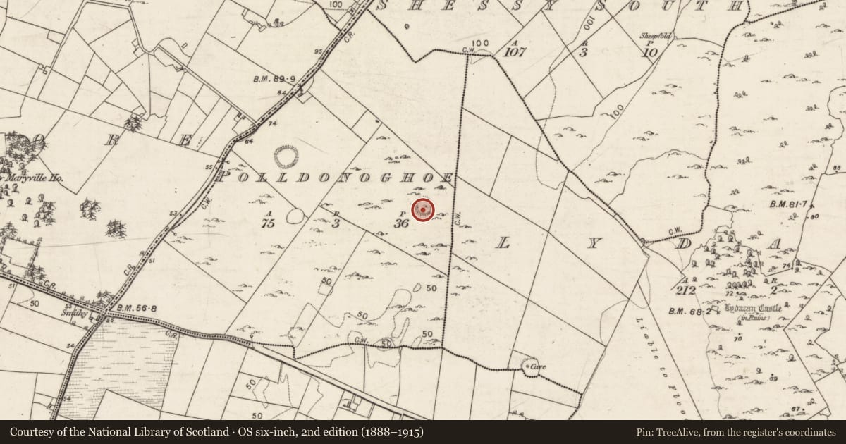Ordnance Survey six-inch map, 2nd edition (1888–1915) covering the location of Ringfort - cashel, Polldonoghoe, County Galway, with a pin at the register's coordinates