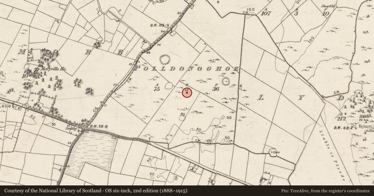 Ordnance Survey six-inch map, 2nd edition (1888–1915) covering the location of Ringfort - unclassified, Polldonoghoe, County Galway, with a pin at the register's coordinates