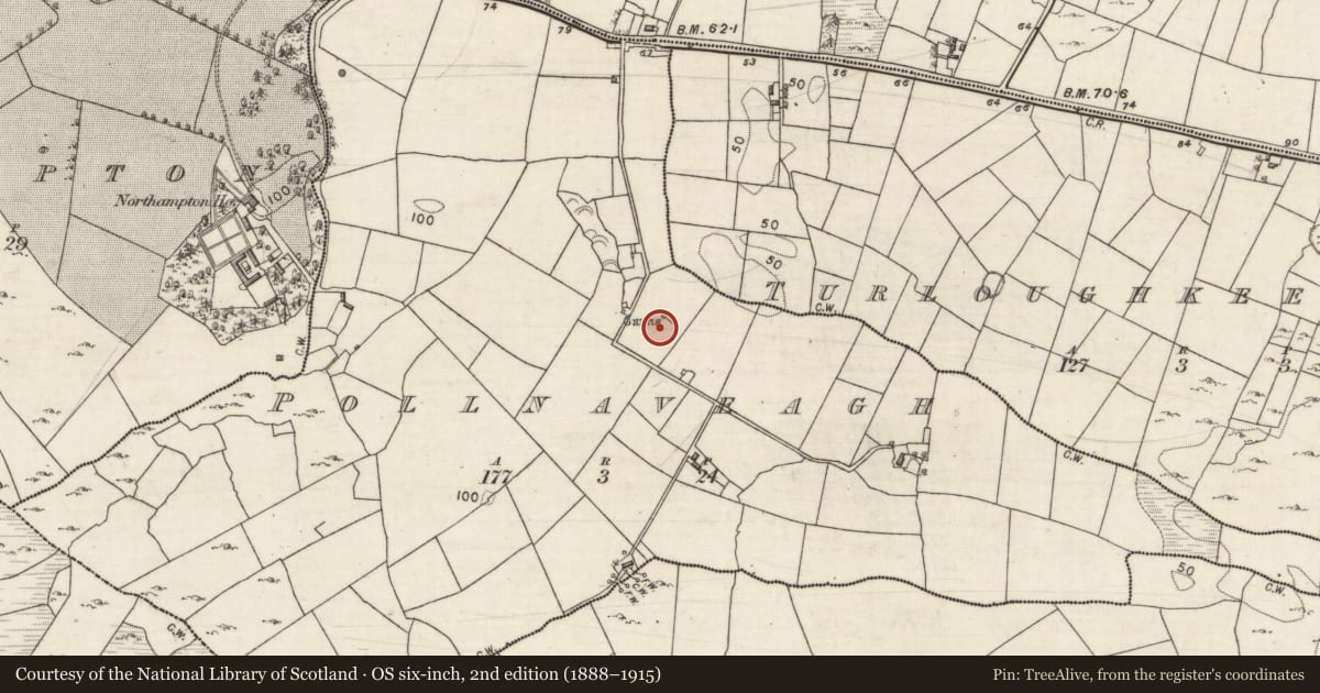 Ordnance Survey six-inch map, 2nd edition (1888–1915) covering the location of Designed landscape - folly, Pollnaveagh, County Galway, with a pin at the register's coordinates