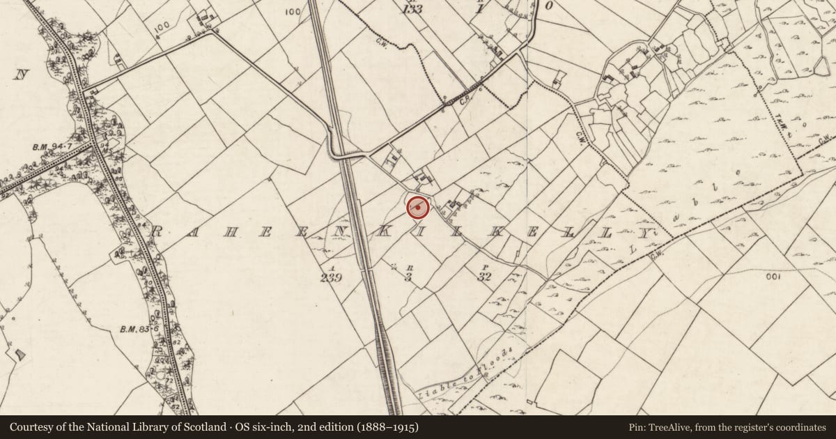 Ordnance Survey six-inch map, 2nd edition (1888–1915) covering the location of Ringfort - rath, Raheen Kilkelly, County Galway, with a pin at the register's coordinates