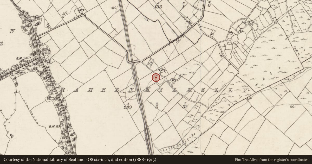Ordnance Survey six-inch map, 2nd edition (1888–1915) covering the location of Souterrain, Raheen Kilkelly, County Galway, with a pin at the register's coordinates