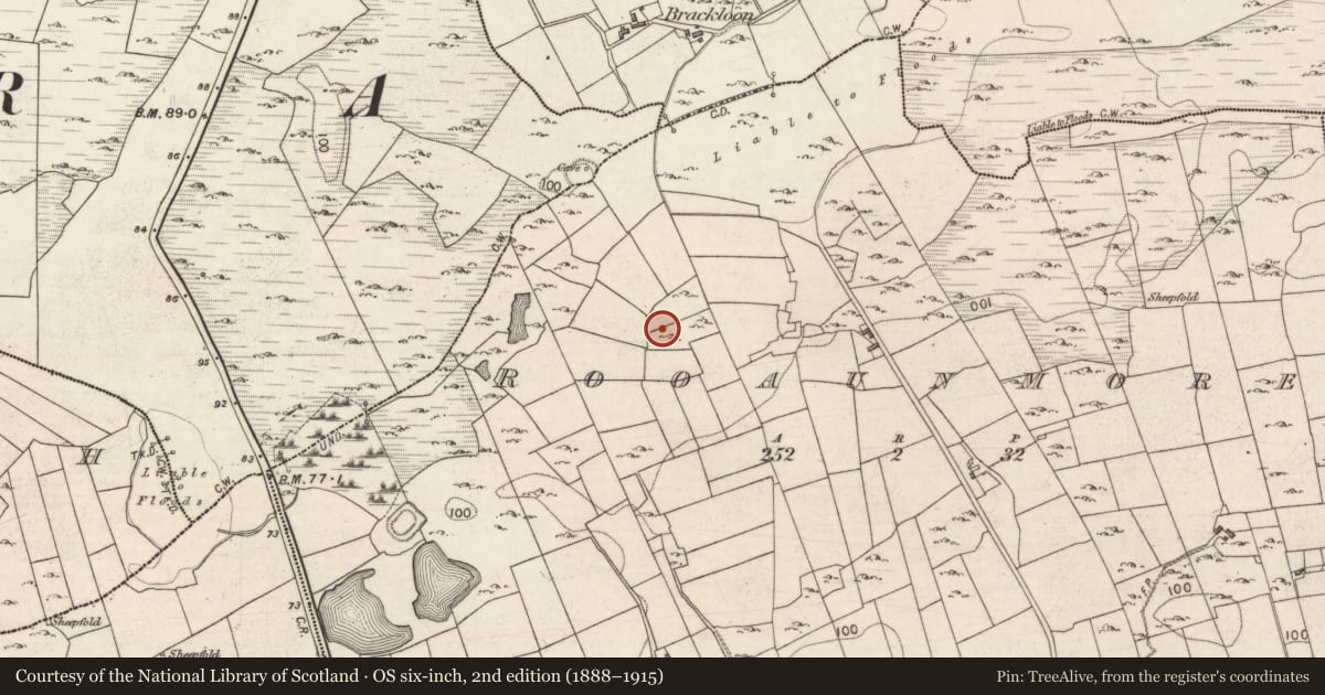 Ordnance Survey six-inch map, 2nd edition (1888–1915) covering the location of Ringfort - cashel, Rooaunmore, County Galway, with a pin at the register's coordinates