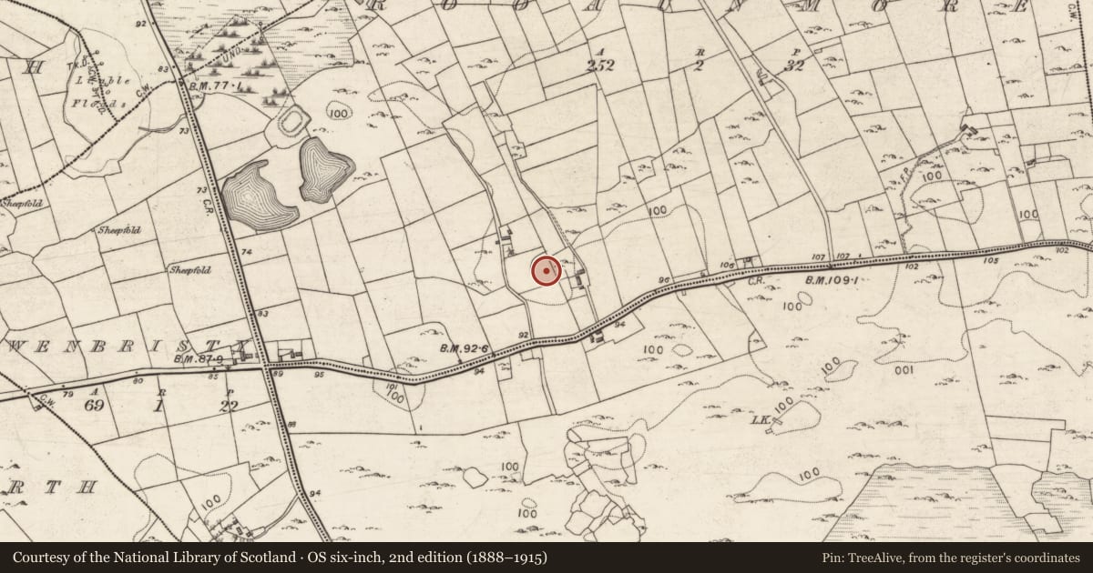 Ordnance Survey six-inch map, 2nd edition (1888–1915) covering the location of Souterrain, Rooaunmore, County Galway, with a pin at the register's coordinates