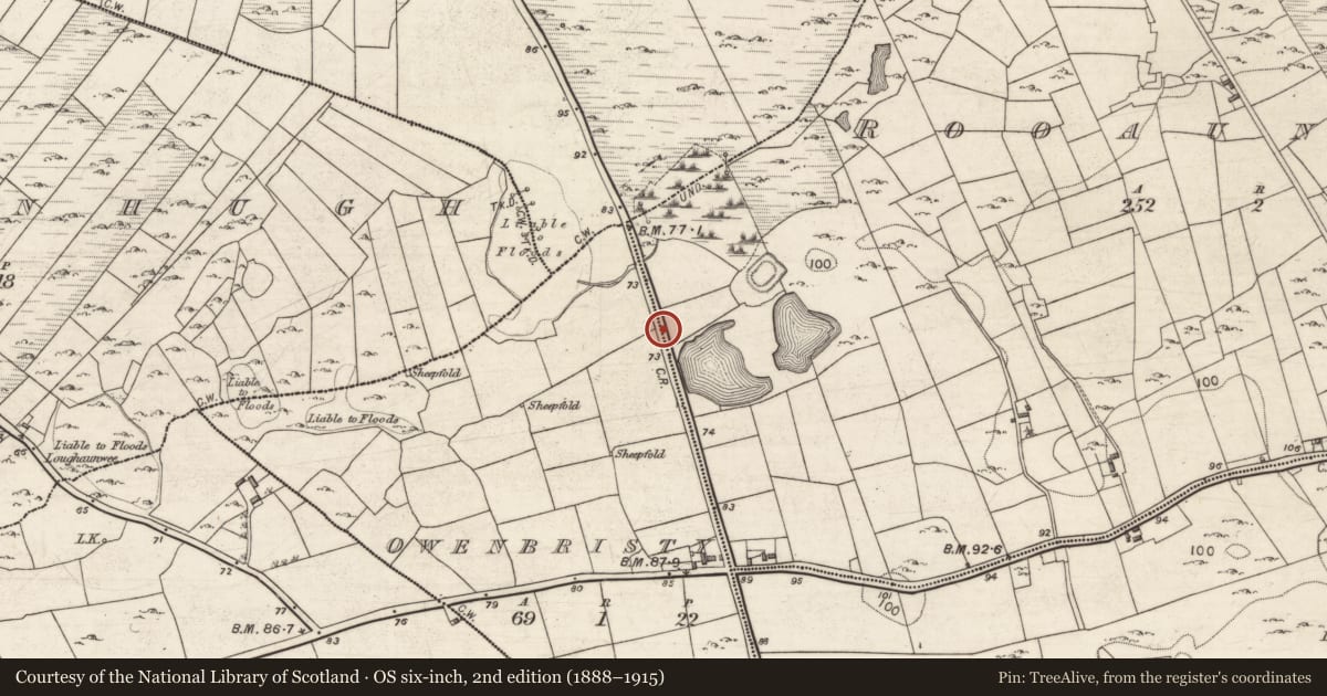 Ordnance Survey six-inch map, 2nd edition (1888–1915) covering the location of Milestone, Rooaunmore, County Galway, with a pin at the register's coordinates