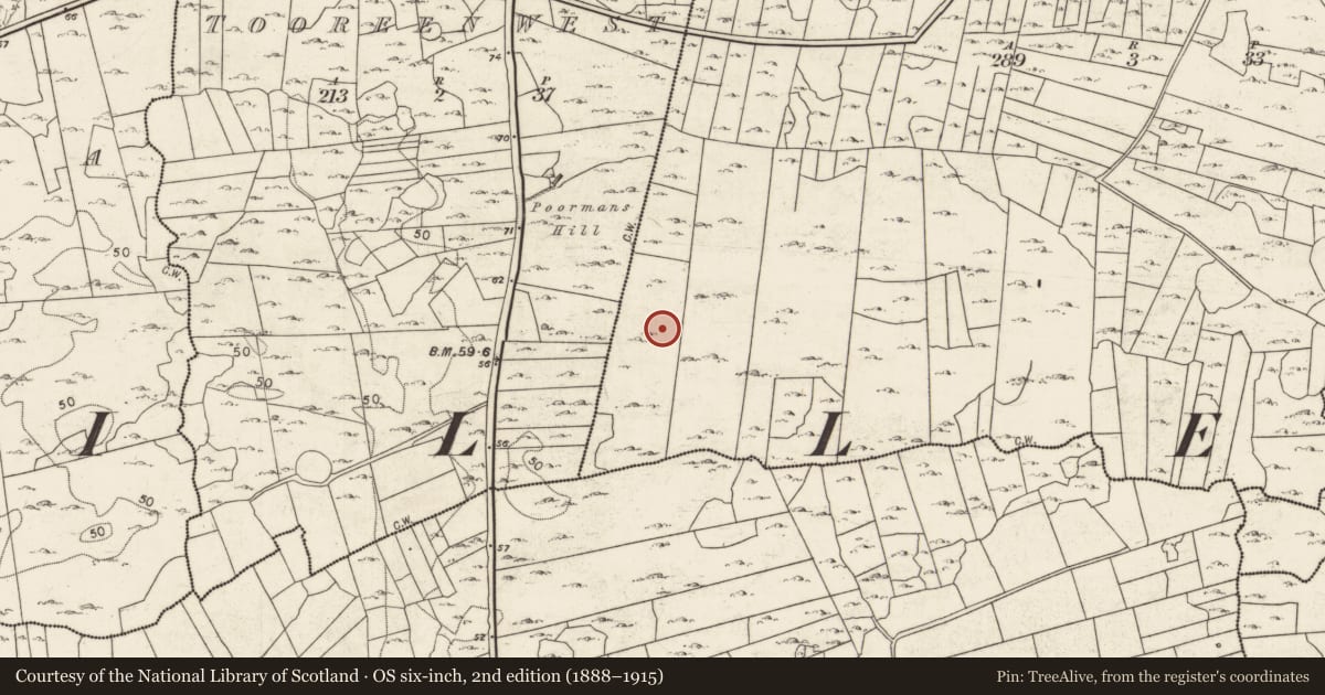 Ordnance Survey six-inch map, 2nd edition (1888–1915) covering the location of Ringfort - cashel, Tooreen East, County Galway, with a pin at the register's coordinates
