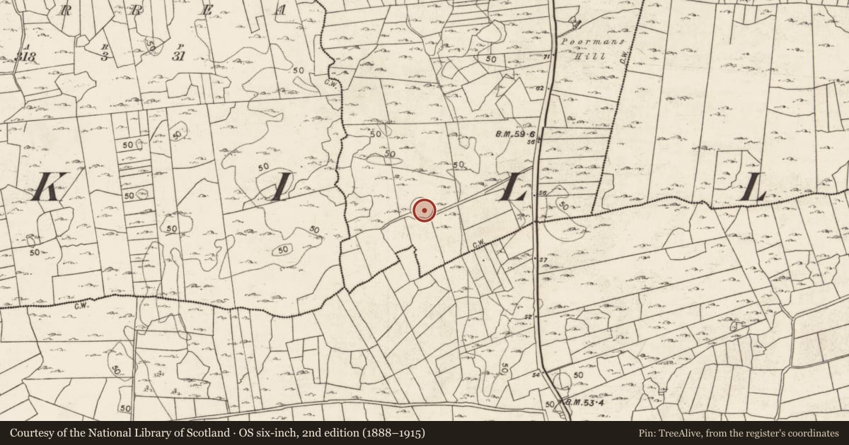 Ordnance Survey six-inch map, 2nd edition (1888–1915) covering the location of Ringfort - cashel, Tooreen West, County Galway, with a pin at the register's coordinates