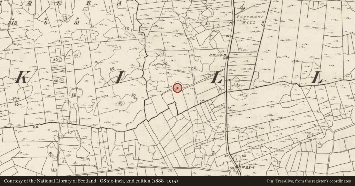 Ordnance Survey six-inch map, 2nd edition (1888–1915) covering the location of Souterrain, Tooreen West, County Galway, with a pin at the register's coordinates
