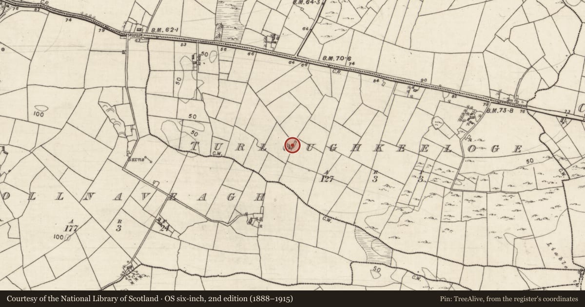 Ordnance Survey six-inch map, 2nd edition (1888–1915) covering the location of Ringfort - cashel, Turloughkeeloge, County Galway, with a pin at the register's coordinates