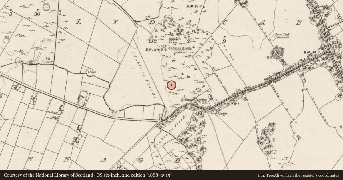 Ordnance Survey six-inch map, 2nd edition (1888–1915) covering the location of Fulacht fia, Lydacan, County Galway, with a pin at the register's coordinates