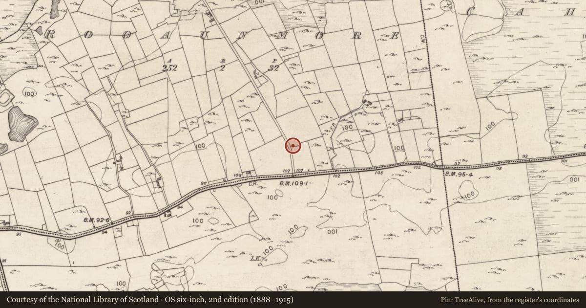 Ordnance Survey six-inch map, 2nd edition (1888–1915) covering the location of Souterrain, Rooaunmore, County Galway, with a pin at the register's coordinates