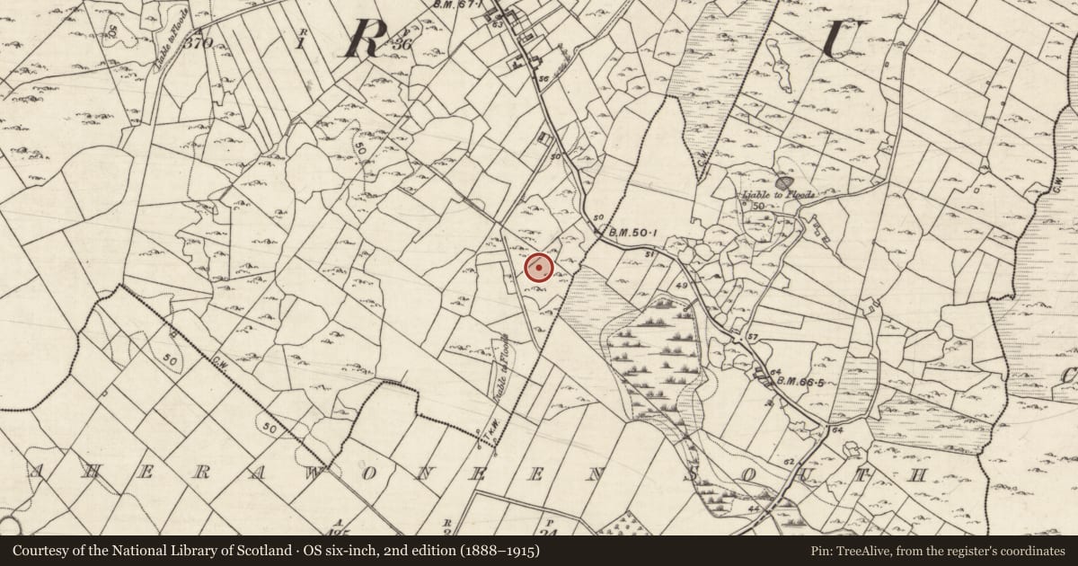Ordnance Survey six-inch map, 2nd edition (1888–1915) covering the location of Building, Caherawoneen North, County Galway, with a pin at the register's coordinates