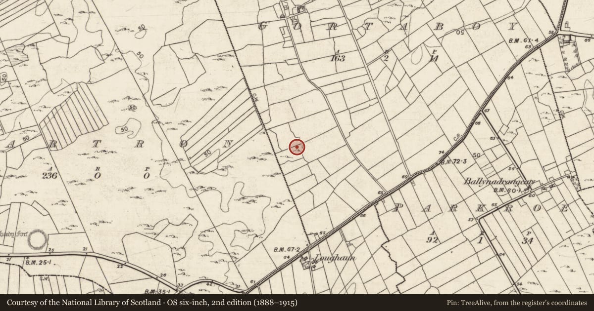 Ordnance Survey six-inch map, 2nd edition (1888–1915) covering the location of Ringfort - cashel, Gortaboy, County Galway, with a pin at the register's coordinates