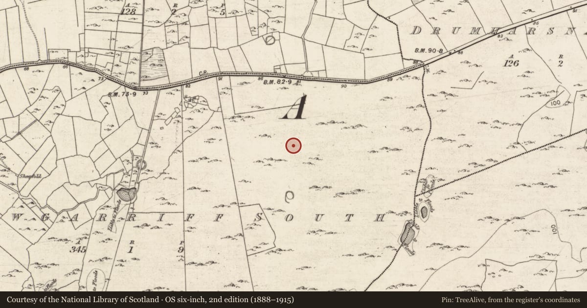 Ordnance Survey six-inch map, 2nd edition (1888–1915) covering the location of Road - road/trackway, Carrowgarriff South, County Galway, with a pin at the register's coordinates