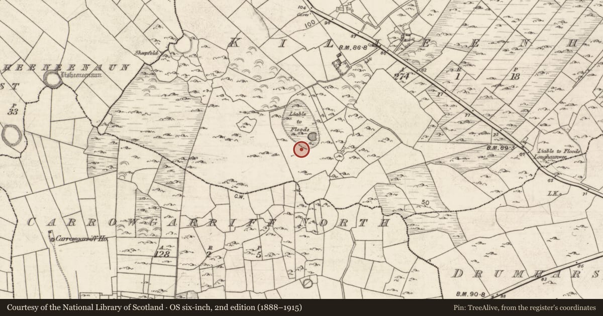Ordnance Survey six-inch map, 2nd edition (1888–1915) covering the location of Fulacht fia, Killeenhugh, County Galway, with a pin at the register's coordinates