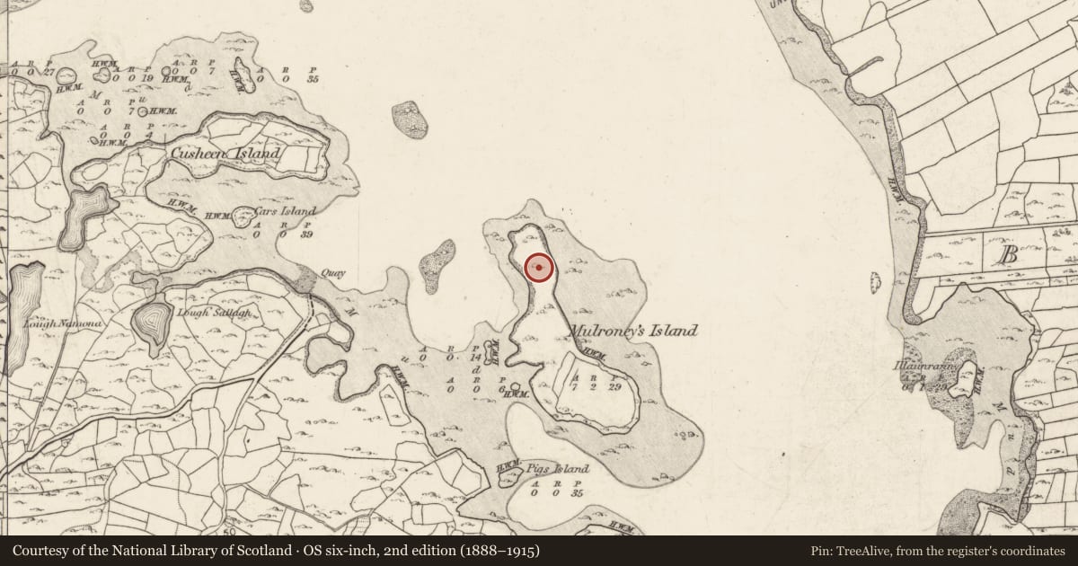 Ordnance Survey six-inch map, 2nd edition (1888–1915) covering the location of Midden, Mulroney'S Island, County Galway, with a pin at the register's coordinates
