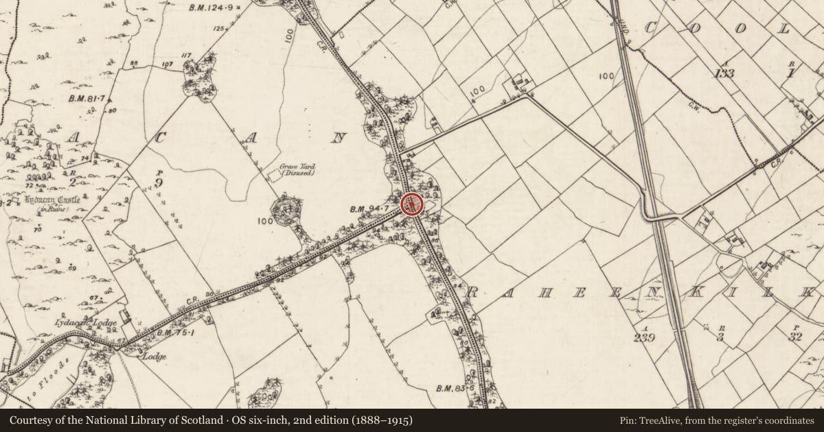 Ordnance Survey six-inch map, 2nd edition (1888–1915) covering the location of Milestone, Raheen Kilkelly, County Galway, with a pin at the register's coordinates