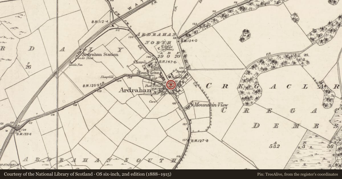 Ordnance Survey six-inch map, 2nd edition (1888–1915) covering the location of Cross - Market cross, Ardrahan South, County Galway, with a pin at the register's coordinates