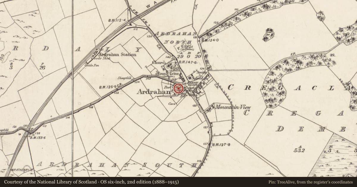 Ordnance Survey six-inch map, 2nd edition (1888–1915) covering the location of Bullaun stone (present location), Ardrahan South, County Galway, with a pin at the register's coordinates