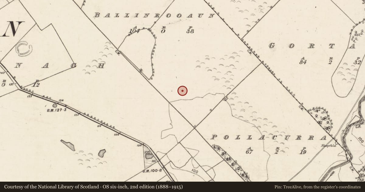 Ordnance Survey six-inch map, 2nd edition (1888–1915) covering the location of Enclosure, Ballinrooaun, County Galway, with a pin at the register's coordinates
