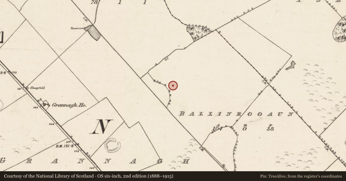 Ordnance Survey six-inch map, 2nd edition (1888–1915) covering the location of Enclosure, Ballinrooaun, County Galway, with a pin at the register's coordinates