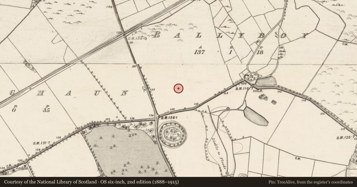 Ordnance Survey six-inch map, 2nd edition (1888–1915) covering the location of Standing stone, Ballyboy, County Galway, with a pin at the register's coordinates