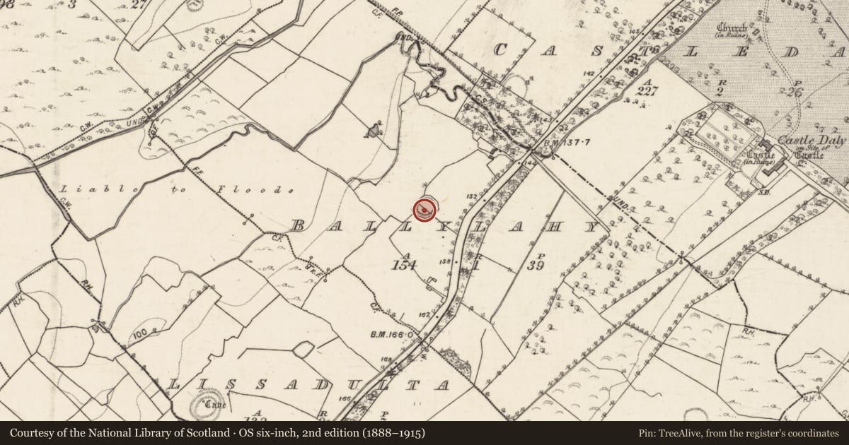 Ordnance Survey six-inch map, 2nd edition (1888–1915) covering the location of Ringfort - rath, Ballylahy, County Galway, with a pin at the register's coordinates