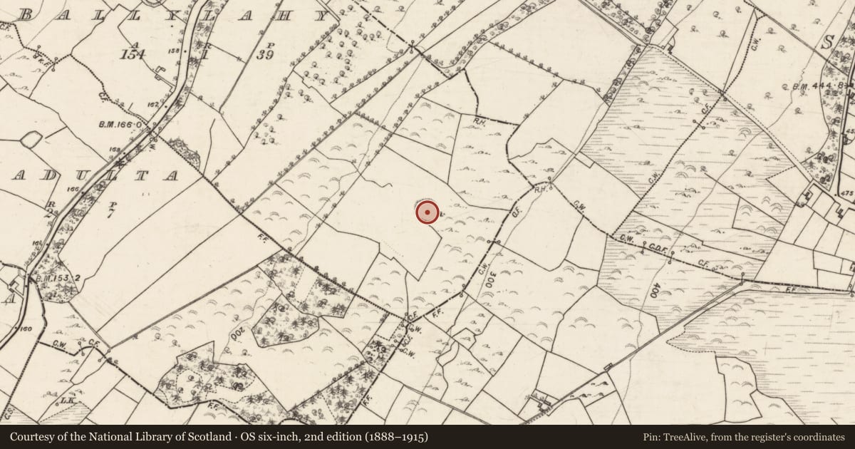 Ordnance Survey six-inch map, 2nd edition (1888–1915) covering the location of House - indeterminate date, Ballylahy, County Galway, with a pin at the register's coordinates