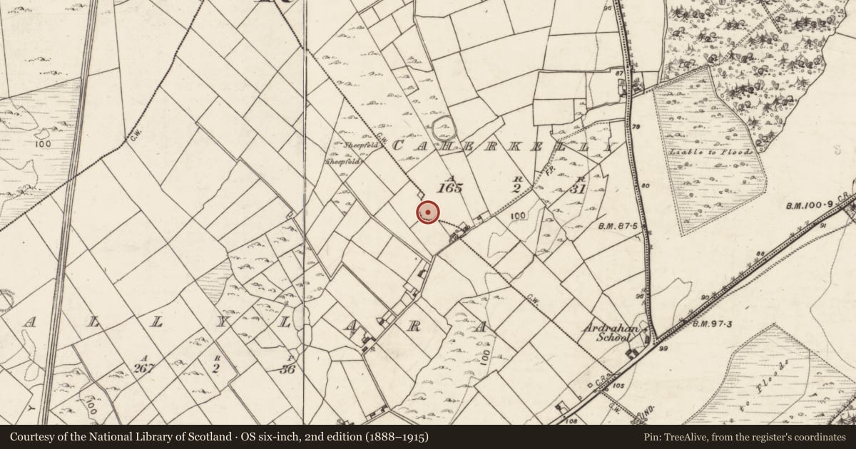 Ordnance Survey six-inch map, 2nd edition (1888–1915) covering the location of Ringfort - cashel, Ballylara, Caherkelly, County Galway, with a pin at the register's coordinates