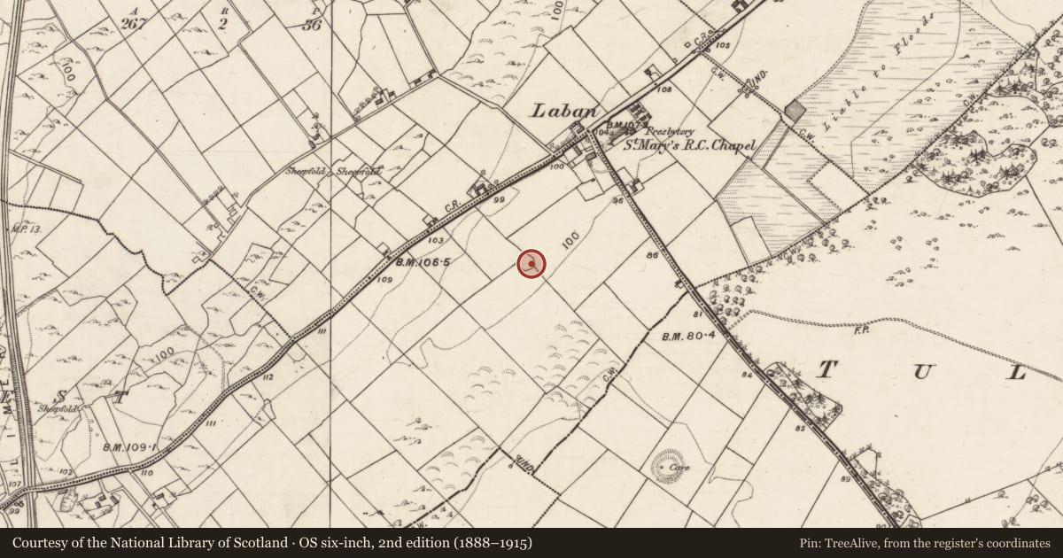 Ordnance Survey six-inch map, 2nd edition (1888–1915) covering the location of Ringfort - cashel, Ballymaquiff North, County Galway, with a pin at the register's coordinates