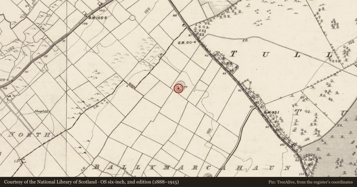 Ordnance Survey six-inch map, 2nd edition (1888–1915) covering the location of Souterrain, Ballymarcahaun, County Galway, with a pin at the register's coordinates