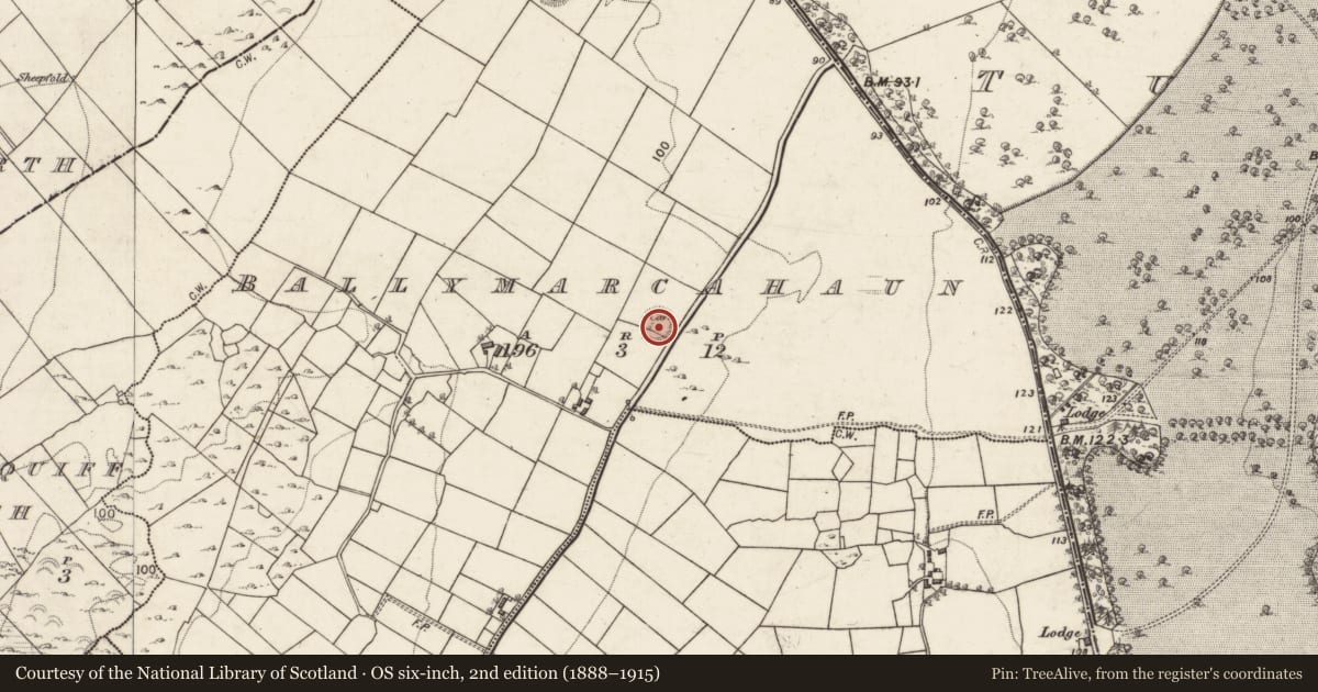 Ordnance Survey six-inch map, 2nd edition (1888–1915) covering the location of Ringfort - rath, Ballymarcahaun, County Galway, with a pin at the register's coordinates
