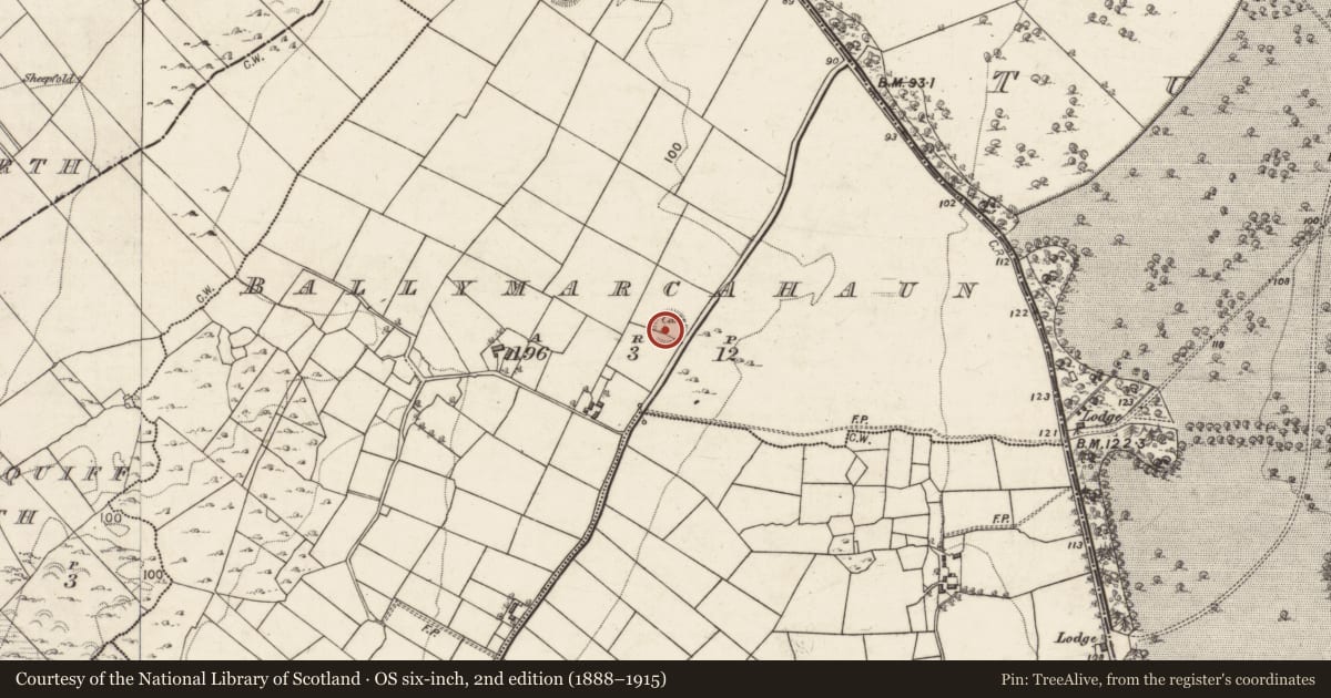 Ordnance Survey six-inch map, 2nd edition (1888–1915) covering the location of Souterrain, Ballymarcahaun, County Galway, with a pin at the register's coordinates