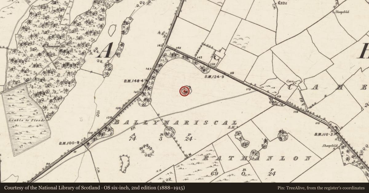 Ordnance Survey six-inch map, 2nd edition (1888–1915) covering the location of Designed landscape feature, Ballymariscal, County Galway, with a pin at the register's coordinates