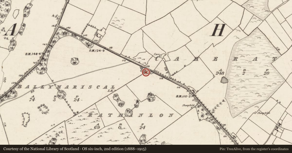 Ordnance Survey six-inch map, 2nd edition (1888–1915) covering the location of Designed landscape feature, Ballymariscal, Rathanlon, County Galway, with a pin at the register's coordinates
