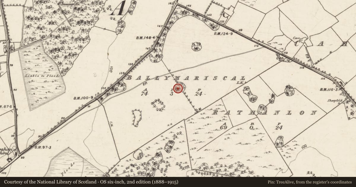 Ordnance Survey six-inch map, 2nd edition (1888–1915) covering the location of Designed landscape feature, Ballymariscal, County Galway, with a pin at the register's coordinates