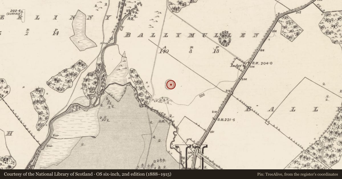 Ordnance Survey six-inch map, 2nd edition (1888–1915) covering the location of Ringfort - rath, Ballymullen, County Galway, with a pin at the register's coordinates