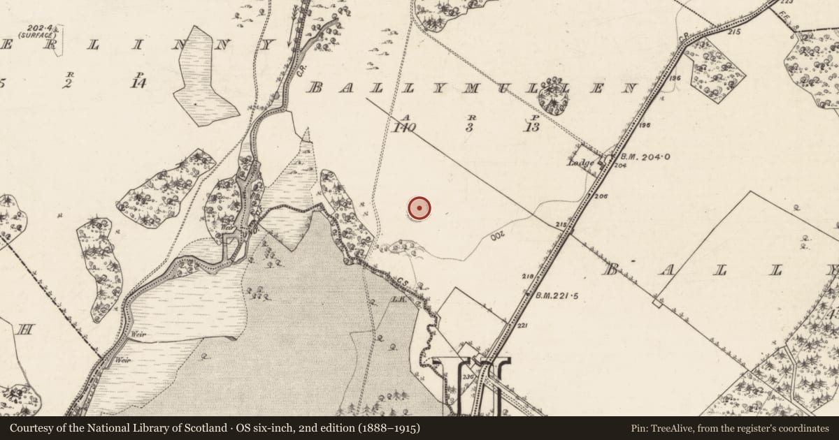Ordnance Survey six-inch map, 2nd edition (1888–1915) covering the location of Souterrain, Ballymullen, County Galway, with a pin at the register's coordinates