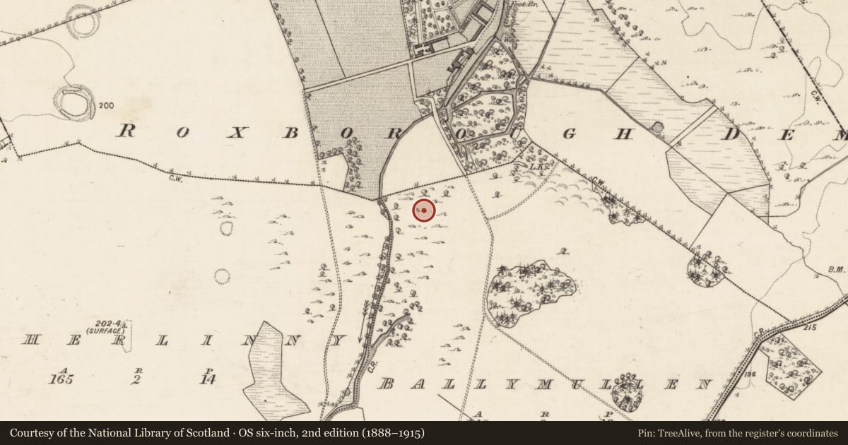Ordnance Survey six-inch map, 2nd edition (1888–1915) covering the location of Ringfort - cashel, Ballymullen, County Galway, with a pin at the register's coordinates
