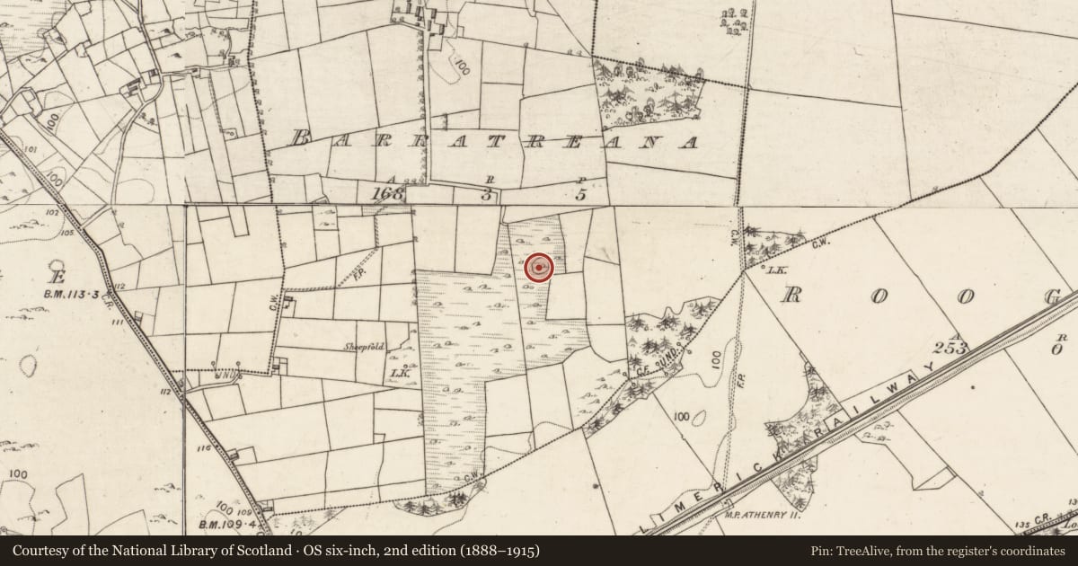 Ordnance Survey six-inch map, 2nd edition (1888–1915) covering the location of Ringfort - cashel, Barratreana, County Galway, with a pin at the register's coordinates