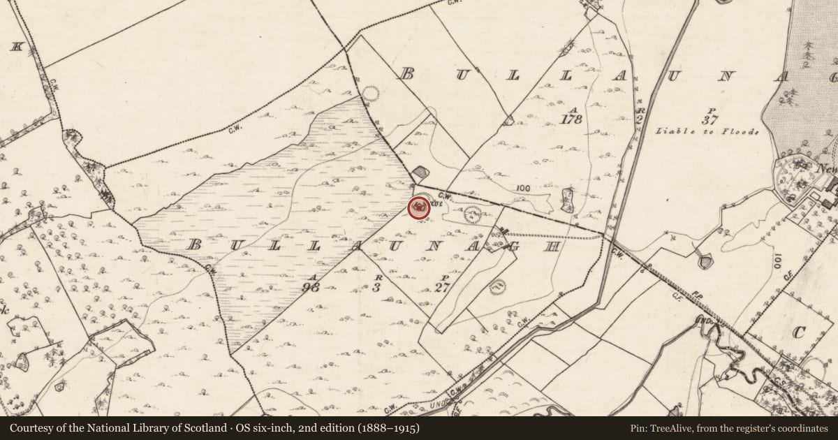 Ordnance Survey six-inch map, 2nd edition (1888–1915) covering the location of Souterrain, Bullaunagh, County Galway, with a pin at the register's coordinates