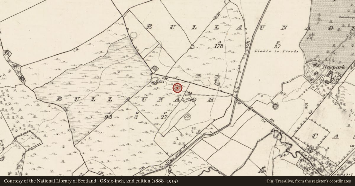 Ordnance Survey six-inch map, 2nd edition (1888–1915) covering the location of Enclosure, Bullaunagh, County Galway, with a pin at the register's coordinates