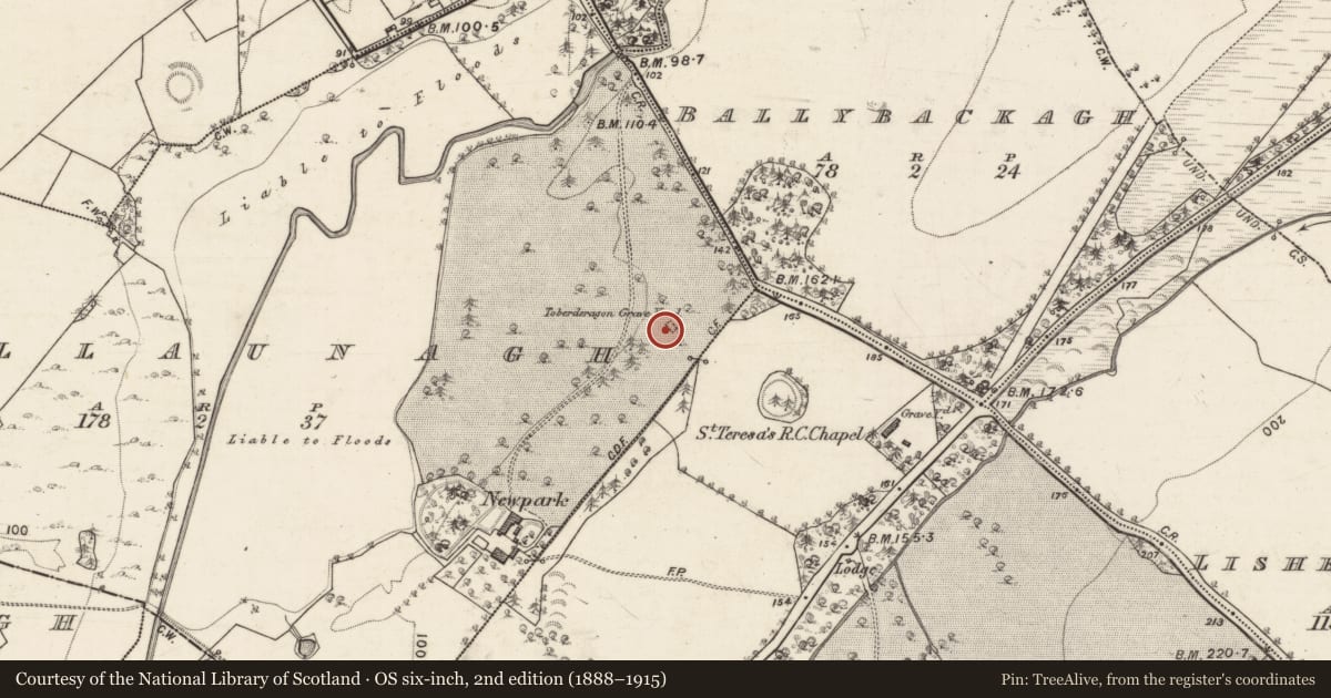 Ordnance Survey six-inch map, 2nd edition (1888–1915) covering the location of Children's burial ground, Bullaunagh, County Galway, with a pin at the register's coordinates