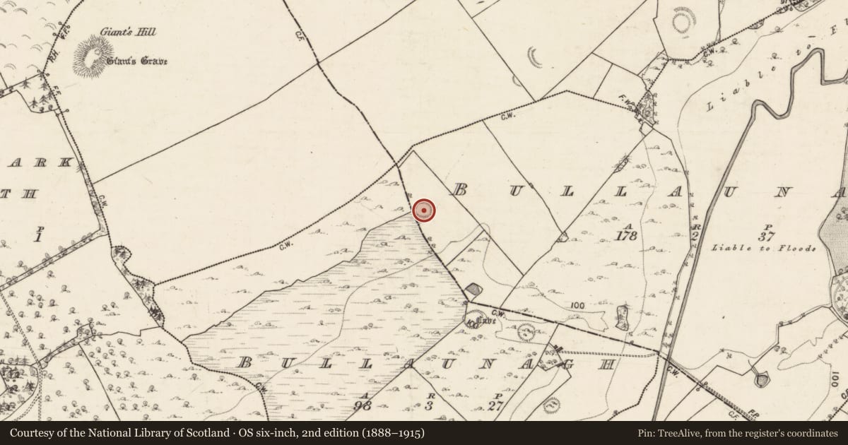 Ordnance Survey six-inch map, 2nd edition (1888–1915) covering the location of Enclosure, Bullaunagh, County Galway, with a pin at the register's coordinates