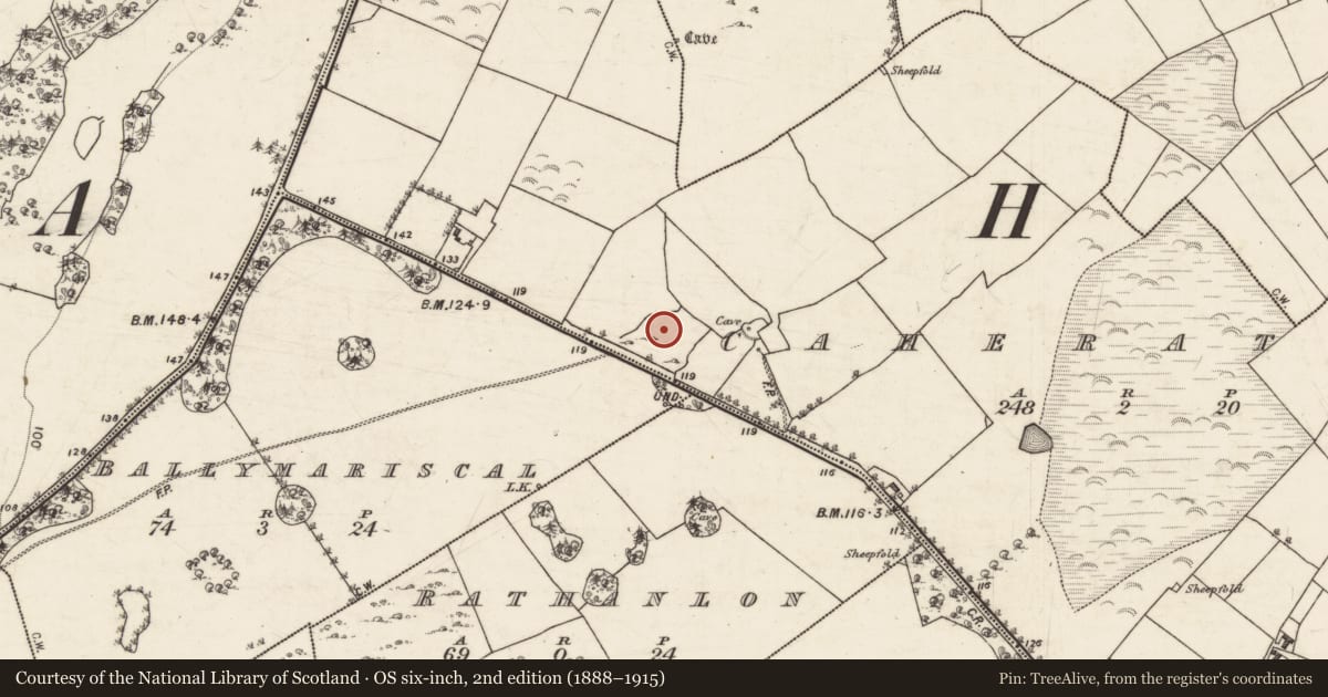 Ordnance Survey six-inch map, 2nd edition (1888–1915) covering the location of Ringfort - cashel, Caheratrim, County Galway, with a pin at the register's coordinates