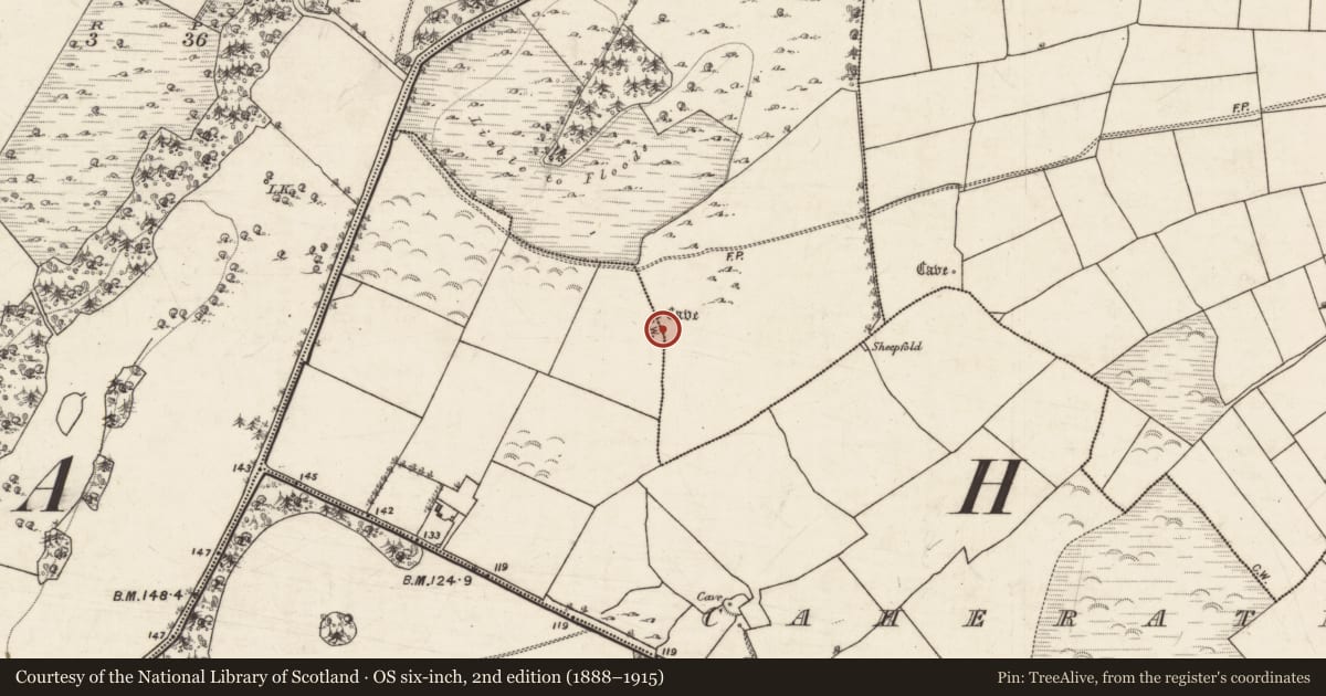 Ordnance Survey six-inch map, 2nd edition (1888–1915) covering the location of Ringfort - cashel, Caheratrim, Lackan, County Galway, with a pin at the register's coordinates