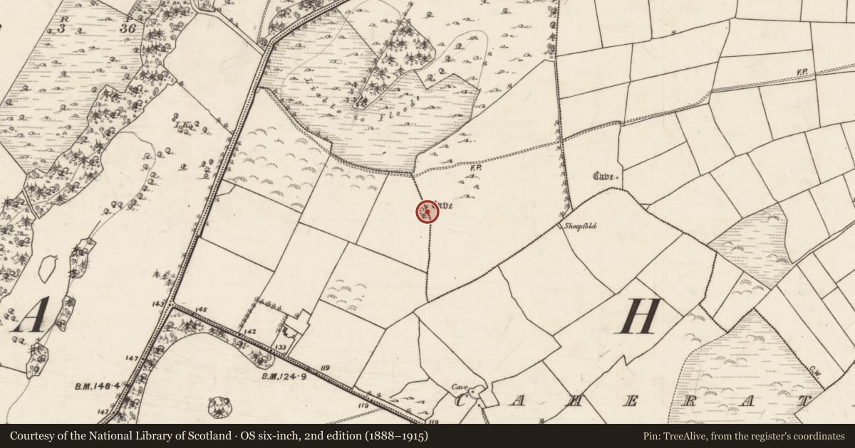 Ordnance Survey six-inch map, 2nd edition (1888–1915) covering the location of Souterrain, Caheratrim, Lackan, County Galway, with a pin at the register's coordinates
