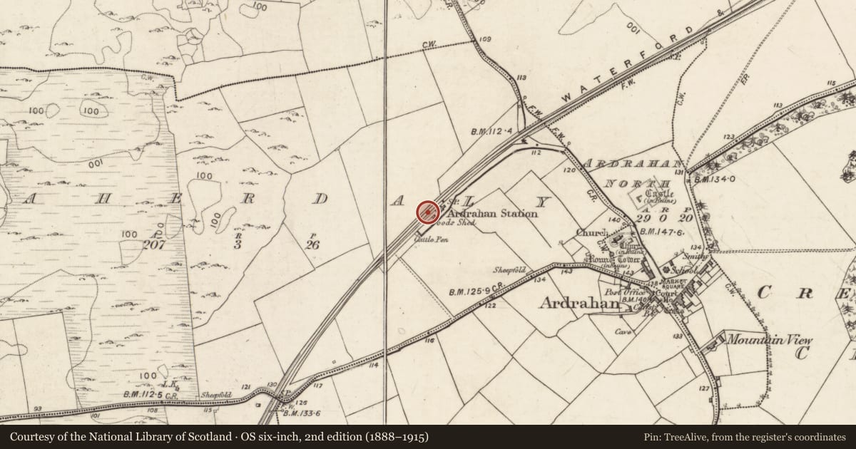 Ordnance Survey six-inch map, 2nd edition (1888–1915) covering the location of Souterrain, Caherdaly, County Galway, with a pin at the register's coordinates