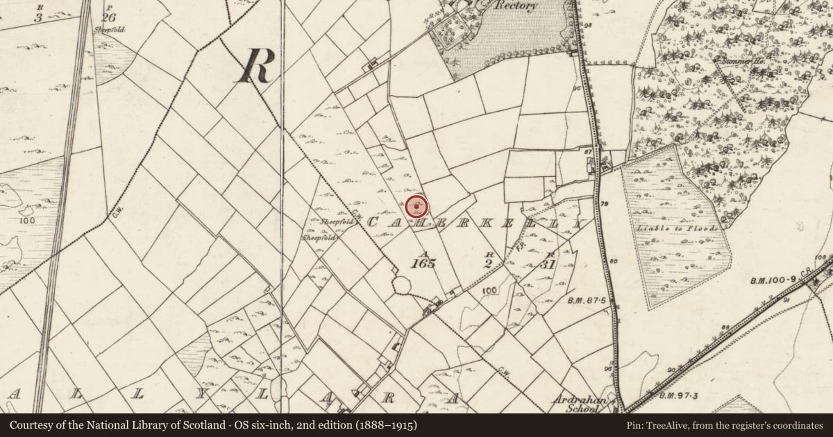 Ordnance Survey six-inch map, 2nd edition (1888–1915) covering the location of Souterrain, Caherkelly, County Galway, with a pin at the register's coordinates